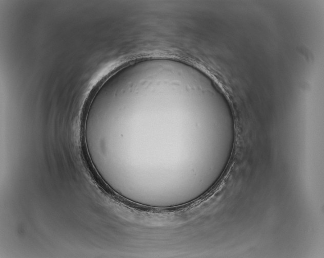 X0000112500008200908311502