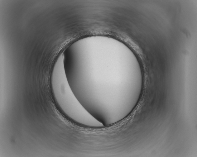 X0000112500009200908311502