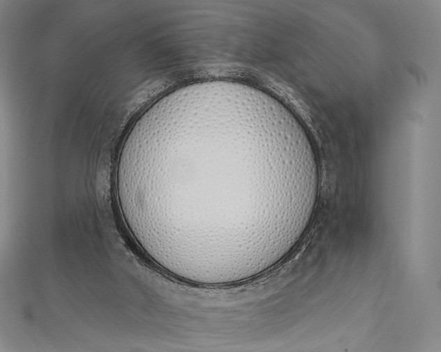 X0000112500010200908311502