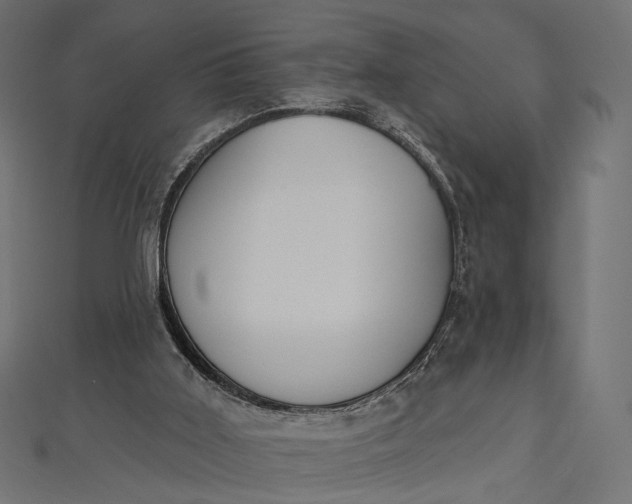 X0000112500011200908311502