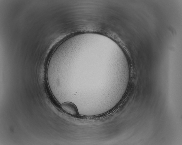 X0000112500012200908311502