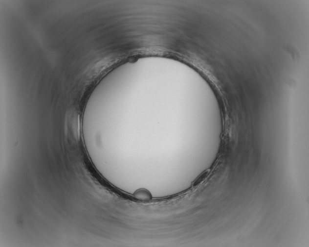 X0000112500013200908311502