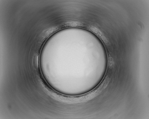 X0000112500014200908311502