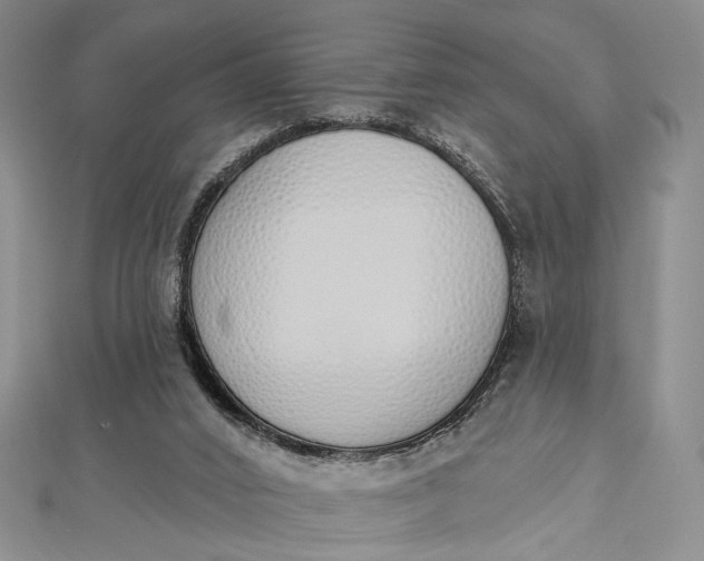 X0000112500016200908311502