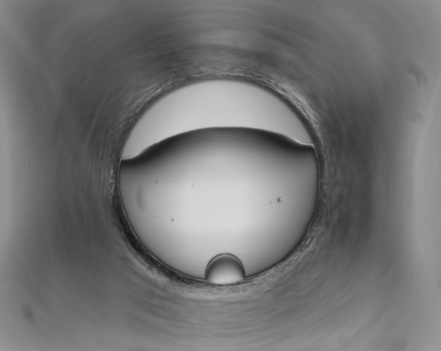 X0000112500017200908311502