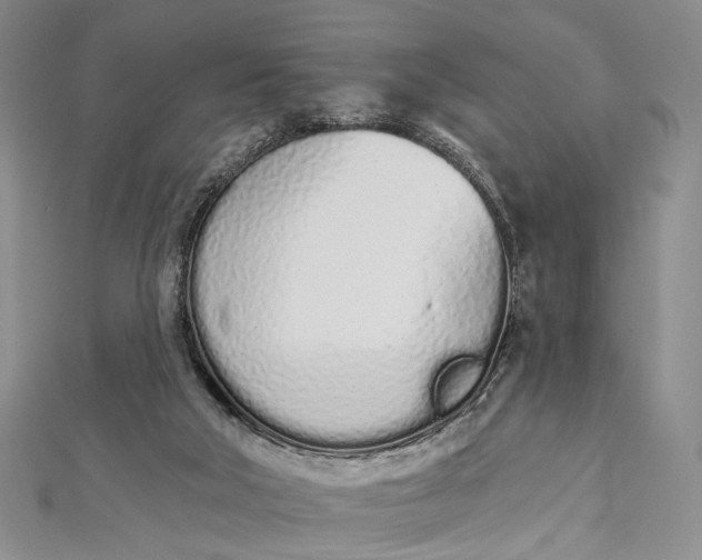 X0000112500018200908311502