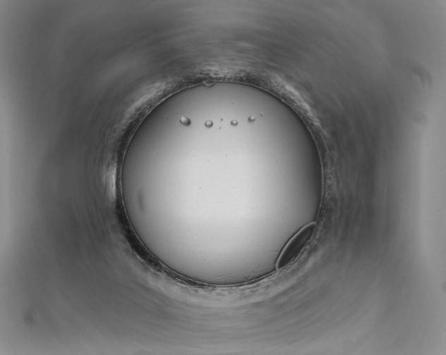 X0000112500019200908311502