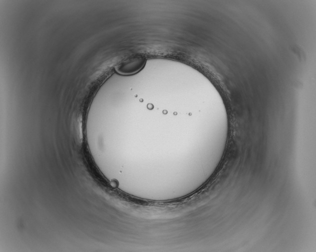 X0000112500020200908311502