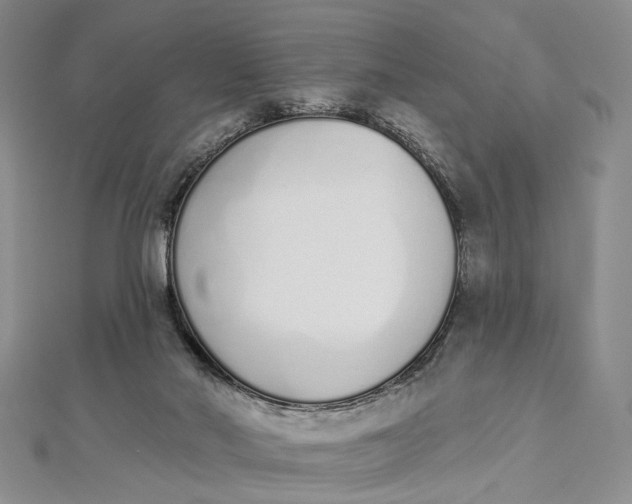 X0000112500022200908311502