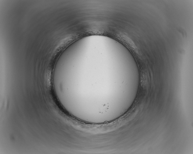 X0000112500023200908311502