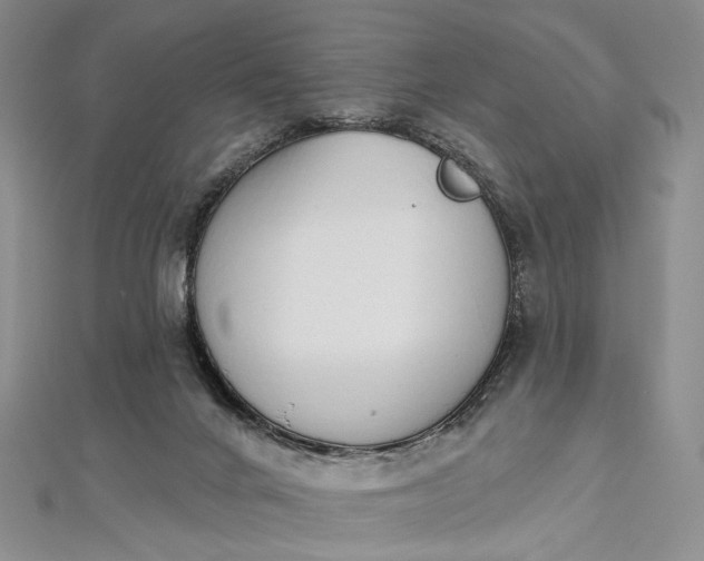 X0000112500024200908311502