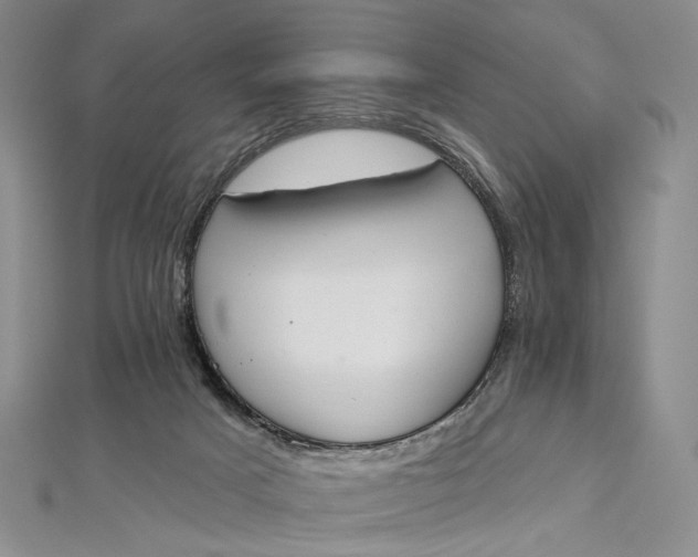 X0000112500025200908311502