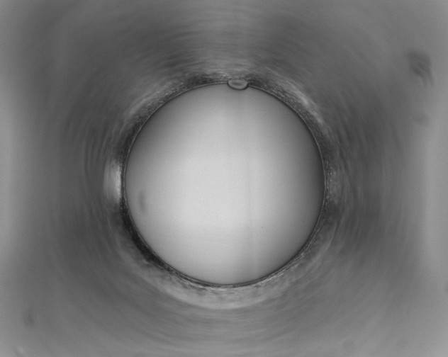 X0000112500027200908311502