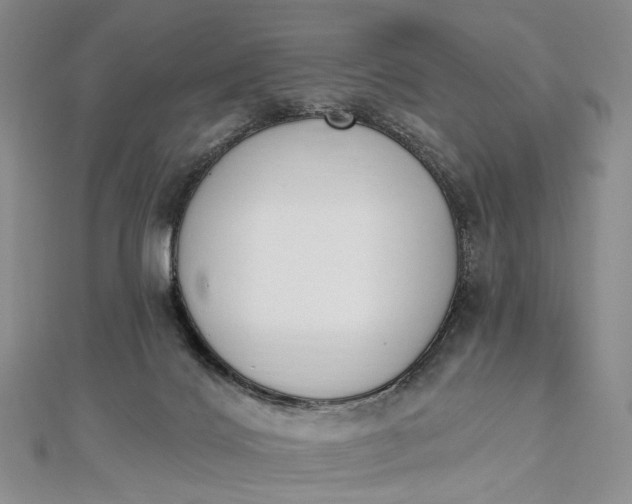 X0000112500028200908311502