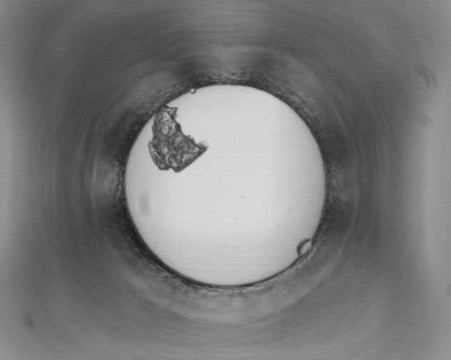 X0000112500029200908311502