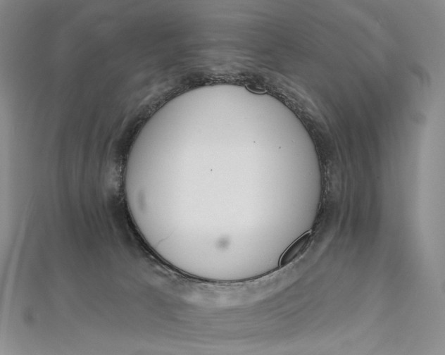 X0000112500033200908311501