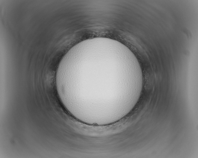 X0000112500034200908311501