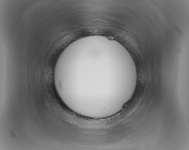 X0000112500036200908311501