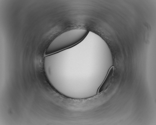 X0000112500037200908311501