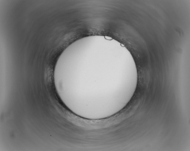 X0000112500038200908311501