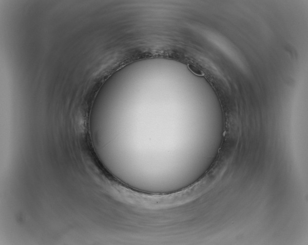 X0000112500039200908311501