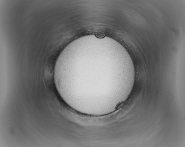 X0000112500040200908311501