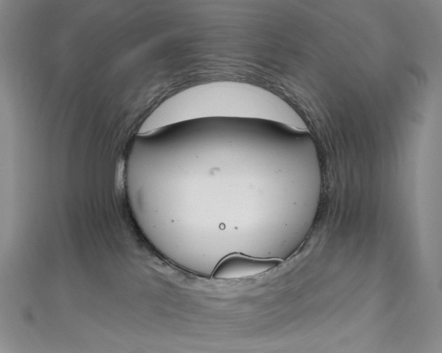 X0000112500041200908311501