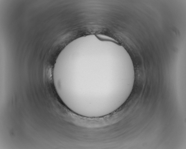 X0000112500042200908311501