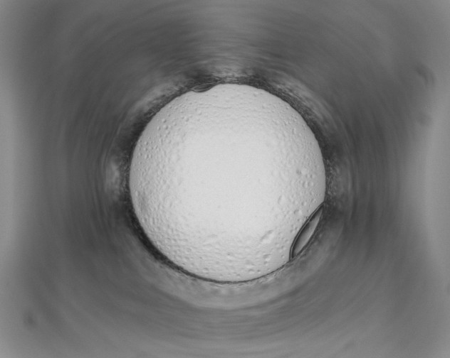 X0000112500043200908311501