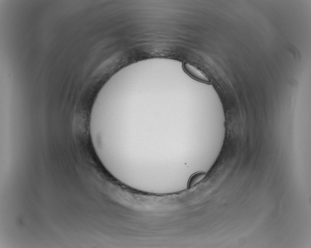 X0000112500044200908311501