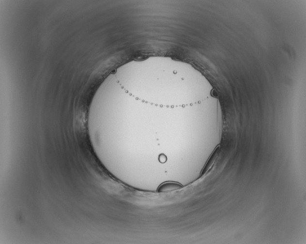 X0000112500045200908311501