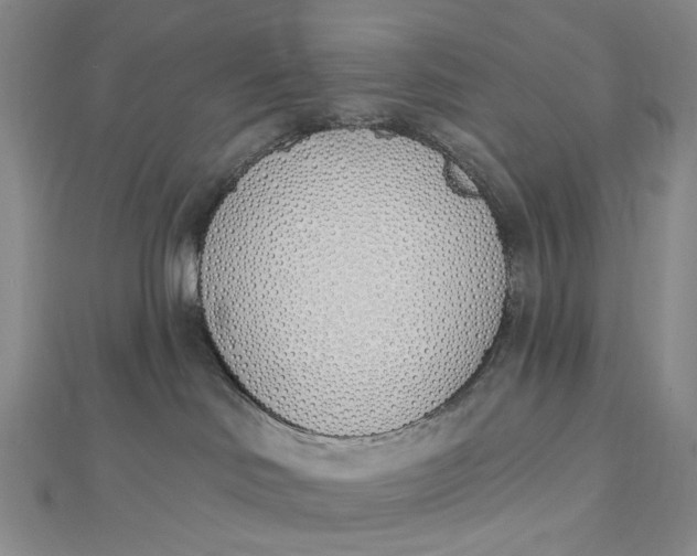 X0000112500046200908311501