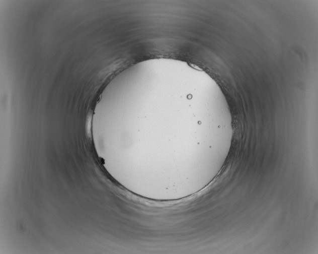 X0000112500047200908311501