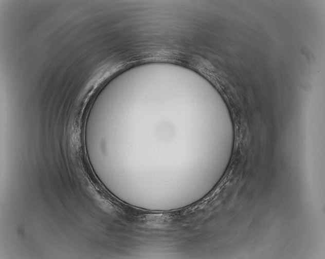 X0000112500050200908311501