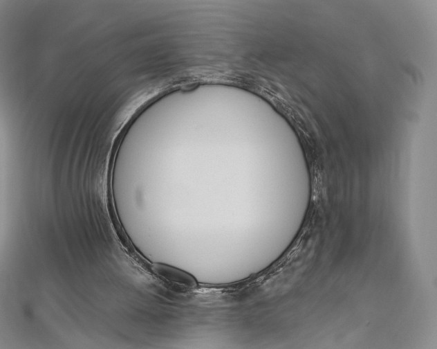 X0000112500052200908311501