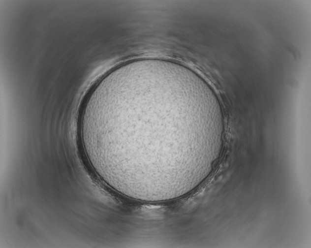 X0000112500055200908311501