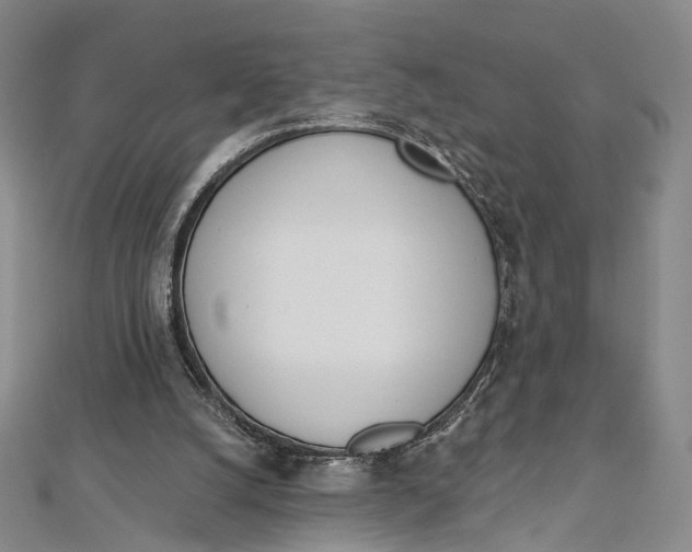 X0000112500056200908311501