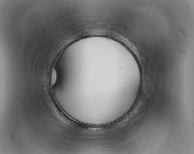 X0000112500057200908311501