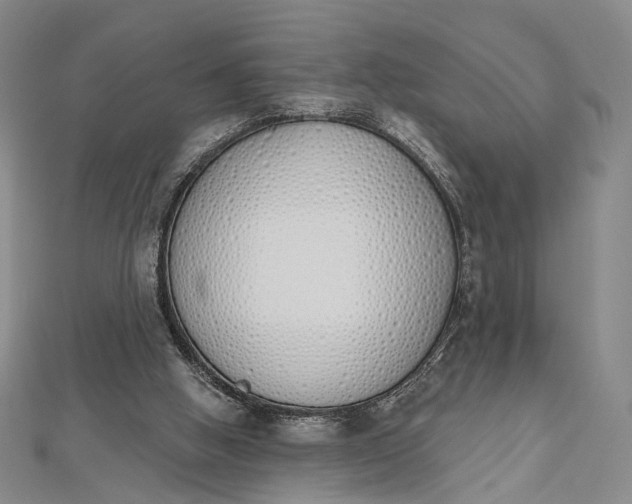 X0000112500058200908311501