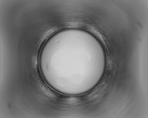 X0000112500059200908311501