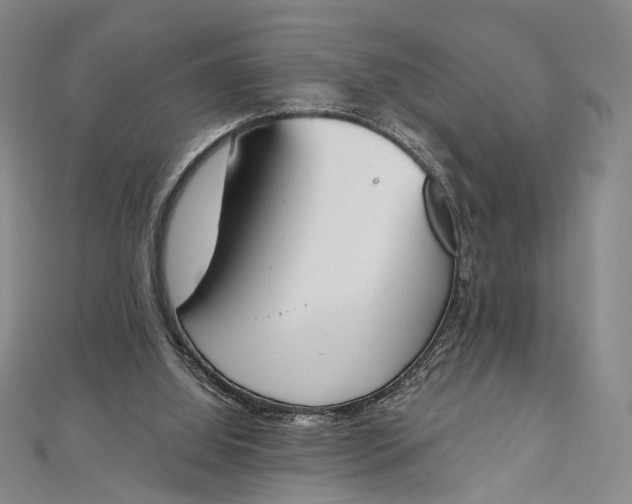 X0000112500060200908311501