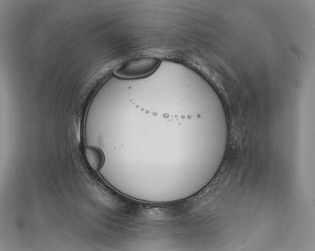 X0000112500062200908311501