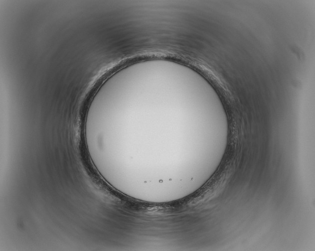 X0000112500064200908311501