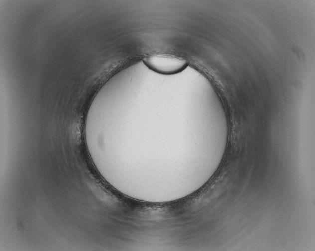 X0000112500065200908311501