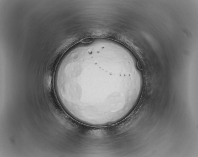 X0000112500067200908311501