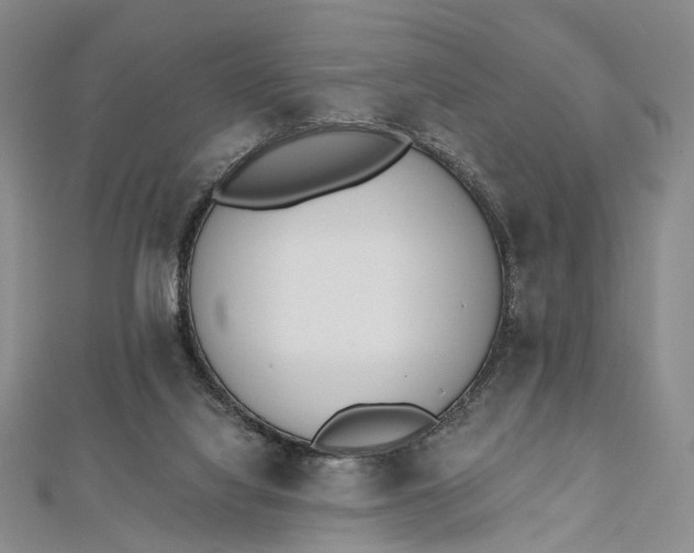 X0000112500068200908311501