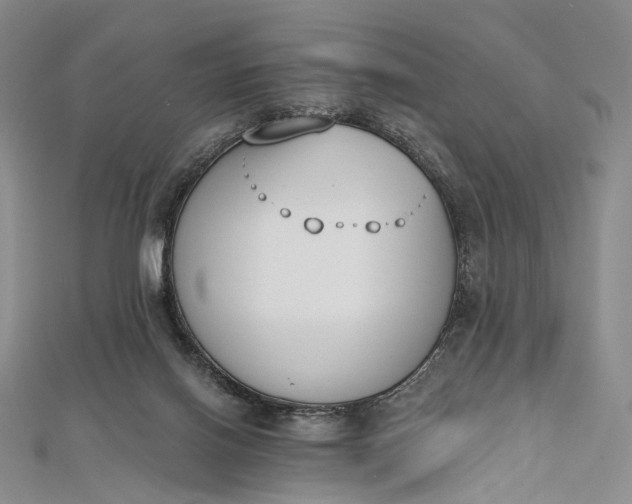 X0000112500070200908311501