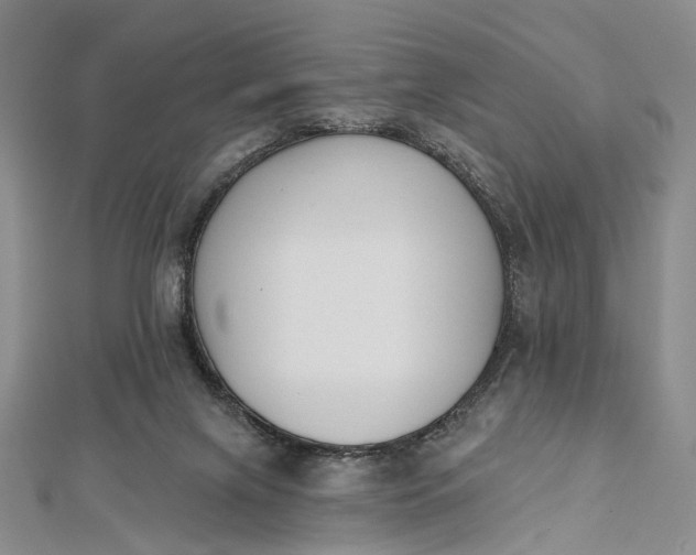 X0000112500071200908311501