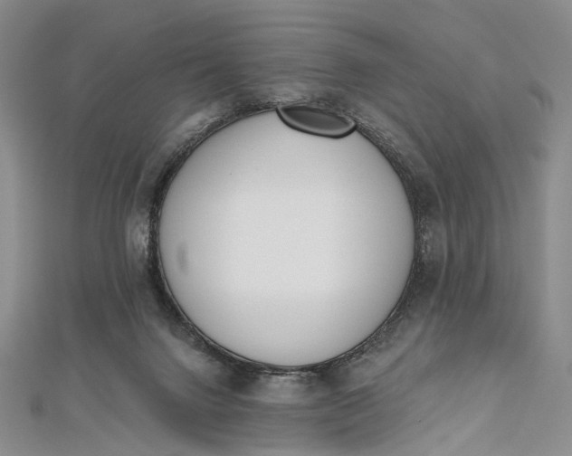 X0000112500072200908311501