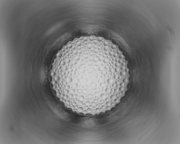 X0000112500073200908311501